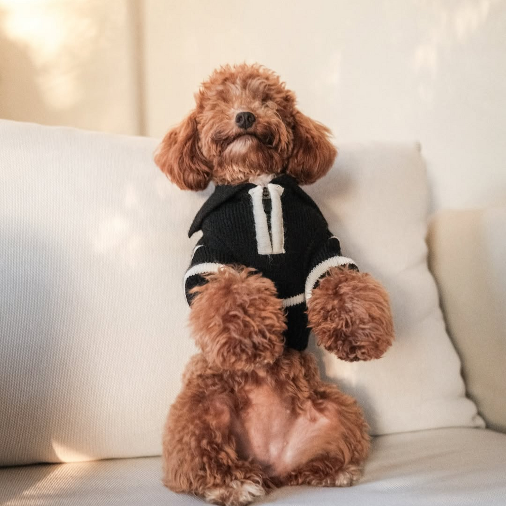 The Cortado | Black Striped Quarter-Zip Dog Sweater