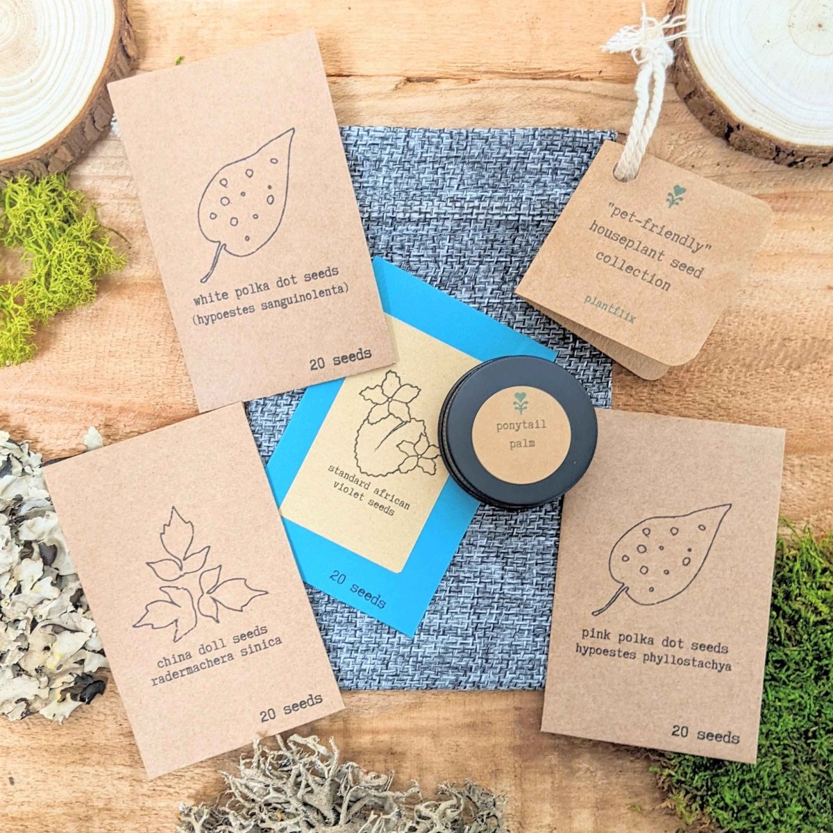 "Pet-Friendly" Houseplant Seed Collection
